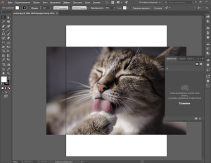 Adobe Illustrator Cкачать 2026 v30.6.0.109 на русском крякнутый