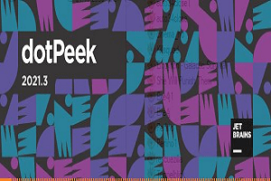 dotPeek 2025.3.1 Cкачать + x64 на русском языке