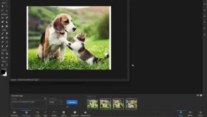 Adobe Photoshop 2026 (v27.4.0.15) на русском языке + Crack Repack
