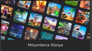 Roblox Injector инжектор для Роблокс 2.711.876 русская Cкачать