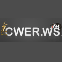 Скачать Cwer blocking для ПК бесплатно на Русском 2026