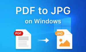 Скачать PDF To JPG Converter 4.7.0.1 для Windows ПК бесплатно на Русском