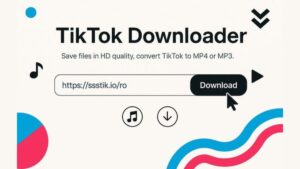 Скачать Tiktok Downloder 3.3.5 для Windows ПК бесплатно на Русском