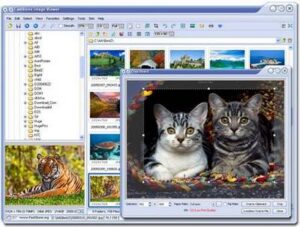 Скачать FastStone Photo Resizer 4.5 для Windows ПК бесплатно на Русском