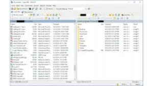 Скачать WinSCP 6.6.1 для Windows ПК бесплатно на Русском